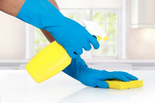 Screen-reader and accessible content support for local carpet cleaners