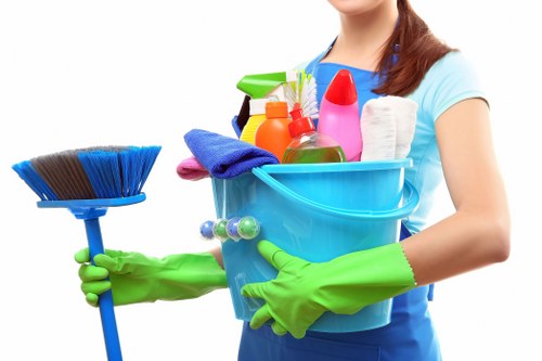 Carpet cleaning equipment used for a home in Hampton Hill