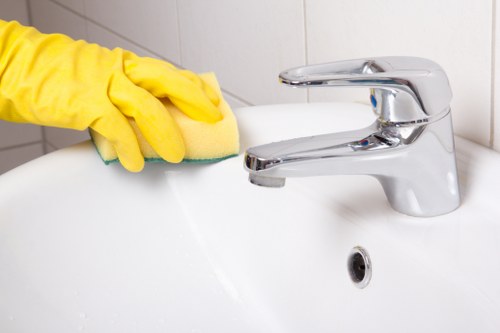 Customer service review of a carpet cleaning issue