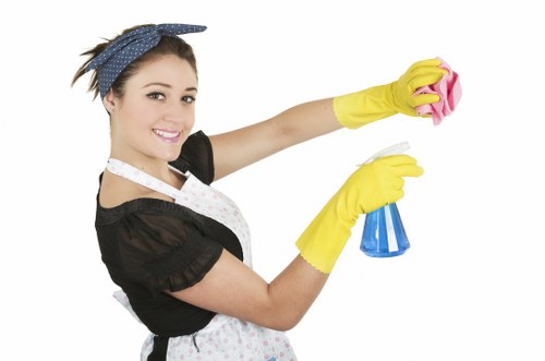 Deep cleaning treatment for pet odours in a Hampton Hill home