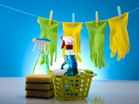 Local carpet cleaning team focusing on careful treatment and property respect