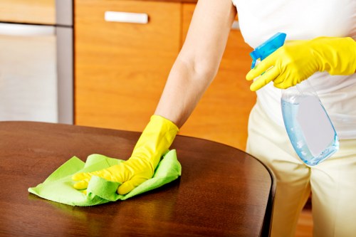 Removing pet urine smell from upholstery in Hampton Hill