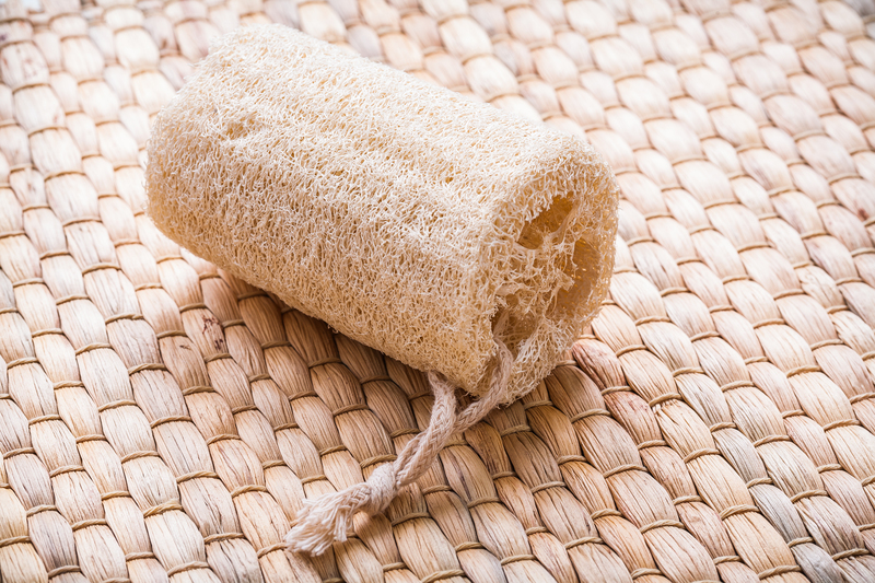 upholstery cleaning regular cleaning